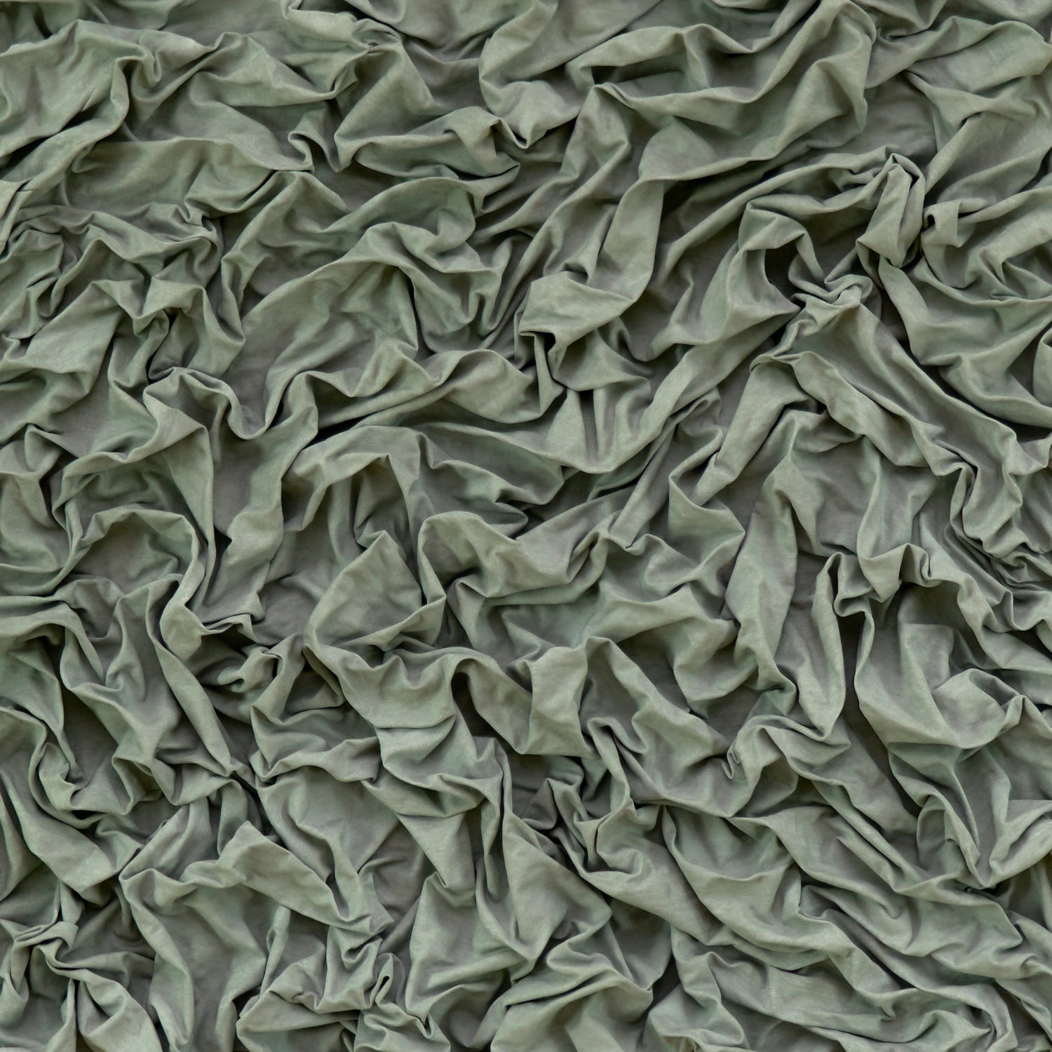 „Creamy Dreams 24" (2024)
